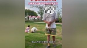 狗狗扑倒一岁小孩，孩子父亲愤怒将狗狗摔死，狗主人要求公正处理引起争议