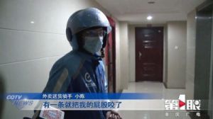 上海配送小哥遭狗咬，女主人拒绝送医：狗在门内袭击你？