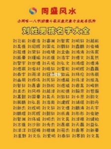 杭姓男孩取名指南：适合男宝宝的取名用字大全