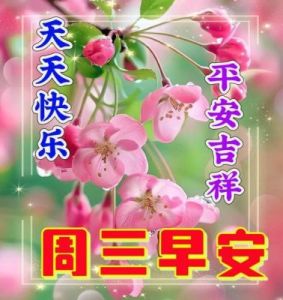 桃花运势眷顾，四大生肖白首偕老，快乐无忧，诚挚相爱