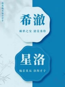 2025年雨水节气出生男孩的五行缺金寓意佳名推荐