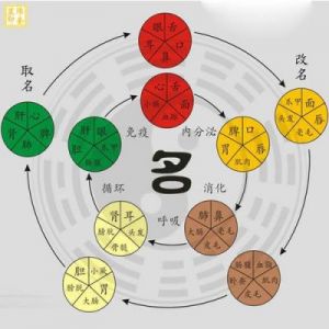 易经取名的可信度与实用性：宝宝名字推荐指南