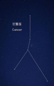 旧情重燃：三大星座再次体验前任甜蜜如初