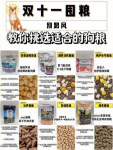 双十一狗粮大作战：如何挑选最适合你家狗狗的食物？