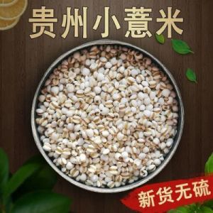 薏米的营养价值与健康功效：食疗必备谷物揭秘