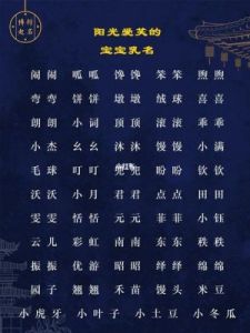 为2025年壬寅虎年11月出生的缺土宝宝起个洋气阳光的名字