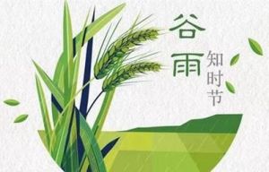 给2025年谷雨生的缺土男孩起个帅气阳光的名字