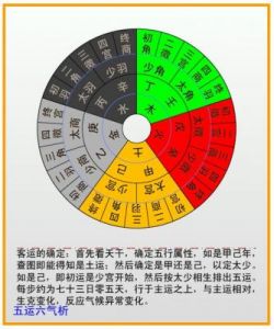 2024年11月运势解析：土星顺行与水星逆行的影响详解