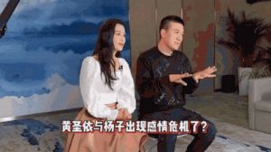 《再见爱人4》杨子黄圣依的婚姻真相：打破流量背后的情感迷雾