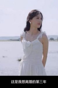 杨子黄圣依婚姻内幕：前妻陶虹的聪明与黄圣依的依赖对比