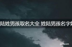 陆姓宝宝取名大全：优选经典名字推荐