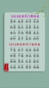 2025年12月31日出生的属虎男宝宝起名指南：虎年最吉利的男孩名字推荐