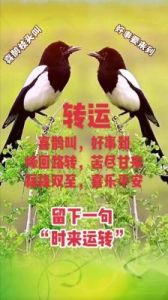 深秋好运来临：鼠、牛、虎、兔生肖的幸福与丰收