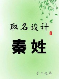 姓秦男宝宝取名指南：字大全推荐