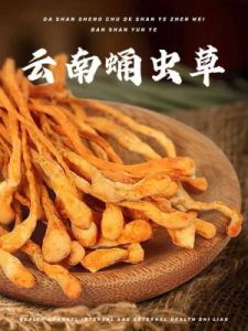 秋季冬虫夏草：滋补佳品与食用禁忌全解析