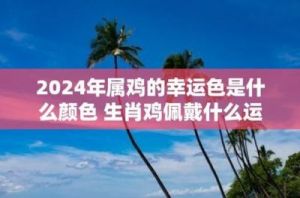 2024年10月29日十生肖好运排名解析与日运指数