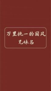 2025年属龙双胞胎男孩名字大全：富有美好寓意的双胎男宝宝名字