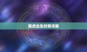 适合初一日中午出生属虎宝宝的名字及其性格解析