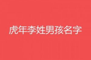 2025年十二月初二出生男孩的简单好听名字大全