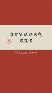 2025年属龙男孩最佳名字推荐：寓意官运与大气的选项