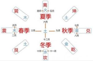 2025年乙木人运势揭秘：财运、感情与健康挑战