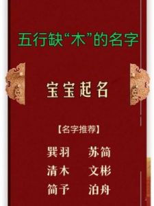 2025年元旦出生女宝宝五行缺木的起名推荐与解析