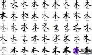 男宝宝易经取名大全：木字旁宜用字推荐