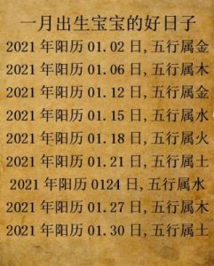 2025年属龙杜姓男孩名字推荐：带“嘉”的五行起名指南