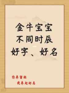 独特虎宝宝：28日夜晚出生名字精选