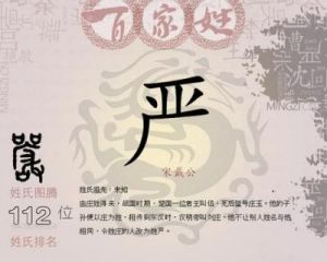 严姓的起源及当代人口数量与分布分析