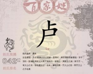 适合男孩姓卢的名字推荐：热门名字大全