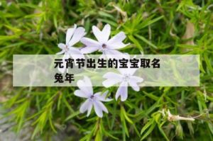 元宵节出生男孩起名：寓意响亮好名字推荐