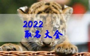 2025年12月28日出生的属虎男宝宝取名：新潮独特的名字推荐