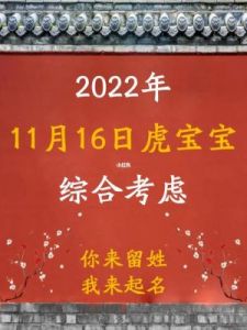 2025年11月16日出生属虎男孩个性帅气名字精选