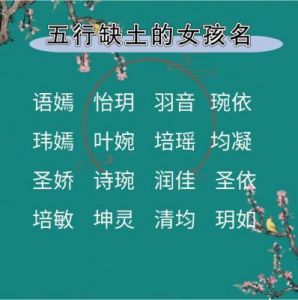 2025年农历十月二十五日出生男孩五行缺火缺土的精选名字推荐