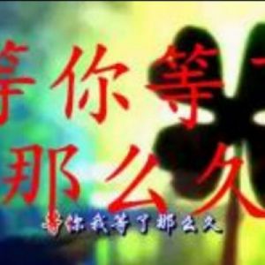 深情守候：一生只为你