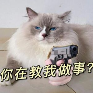 猫咪求救信号，你认出几种了？