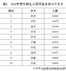 2025年廿四日戌时出生的新生儿吉利名字字推荐