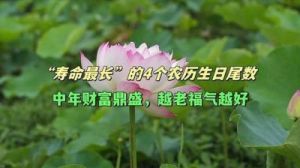 属马人的幸运晚年：数字背后的秘密