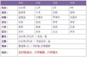 2025年农历十月十八日出生男孩五行缺火的名字推荐大全