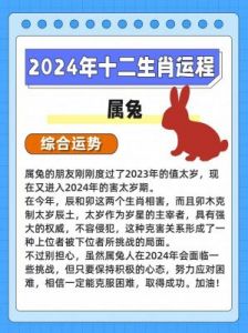 2025属兔运势全解析：每月运程指南