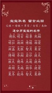 2025年8月29日男宝宝起名推荐，时尚高分的男孩名字