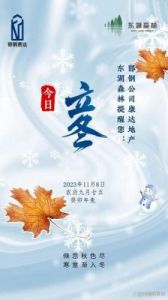 温暖立冬：醇酒与雪花的浪漫邂逅