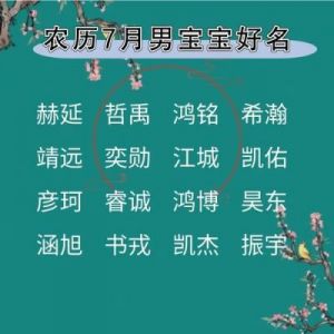 2025年农历七月二十四日男孩名字大全免费查询