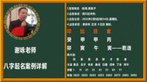 2025年十二月初四出生女宝宝的名字推荐：结合八字与五行取名原则