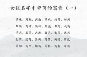 为芮姓宝宝选择吉利名字的最佳字词