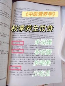 秋季美味：营养丰富的莲藕食谱推荐