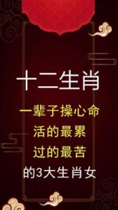 珍惜身边的生肖挚友：虎、牛、兔的真诚陪伴