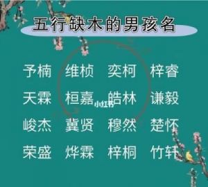 2025年9月12日出生女孩五行缺火，温暖可爱的名字推荐