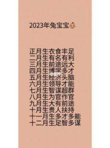 2025年兔年男宝宝最佳名字推荐